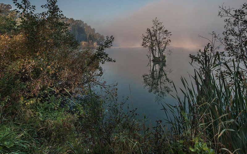 купавна., подмосковье Утиный остров фото превью