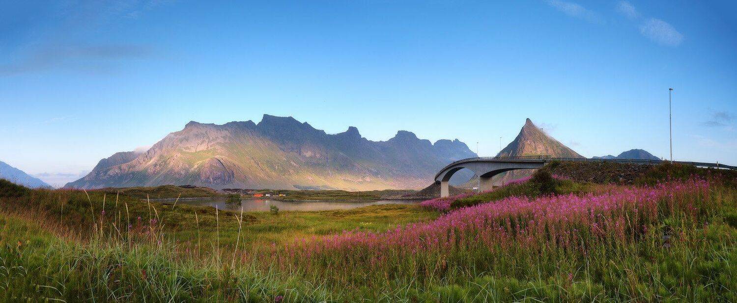 , Вейзе Максим