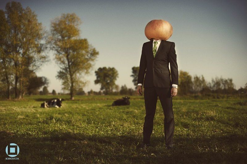 Mrs. Pumpkin фото превью