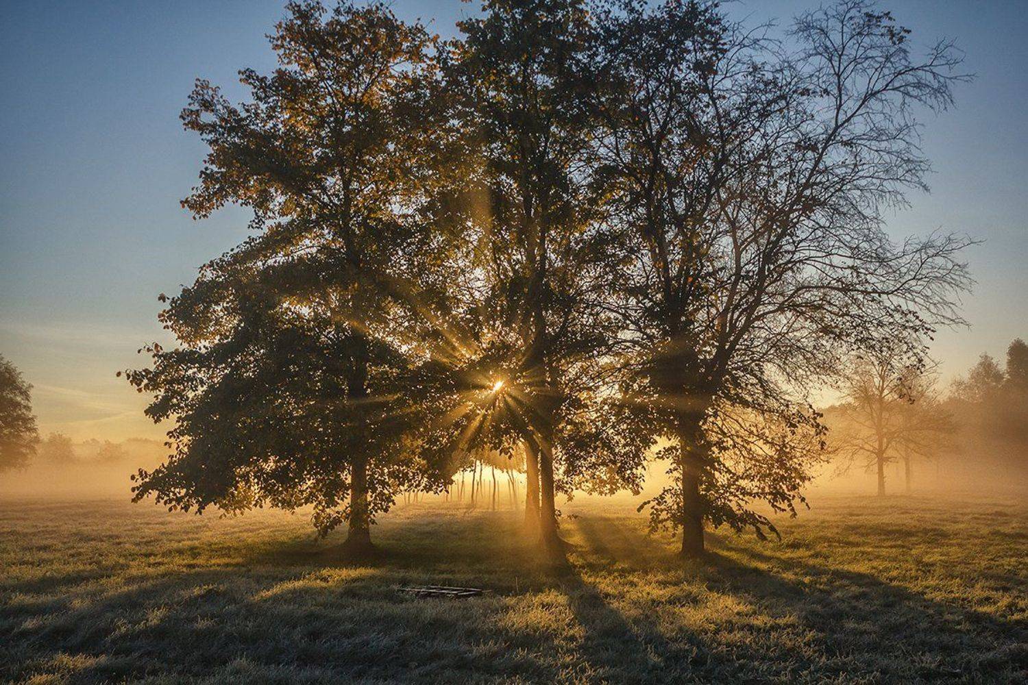 , Аркадий Белов