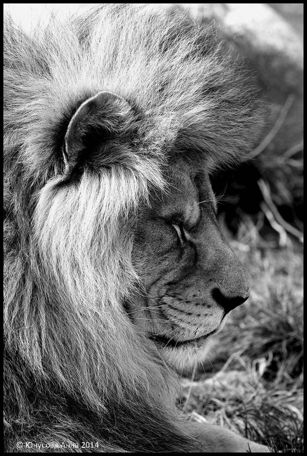 , teamS| Юнусова Анна