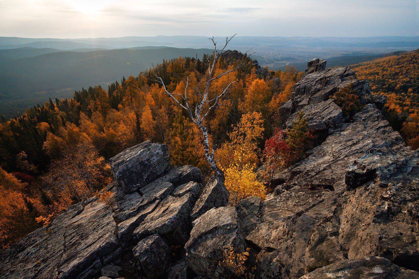 , Владимир Ляпин