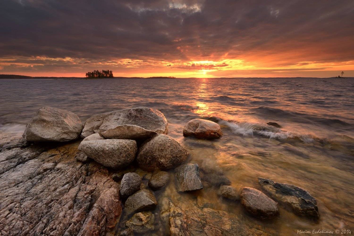 , Максим Евдокимов