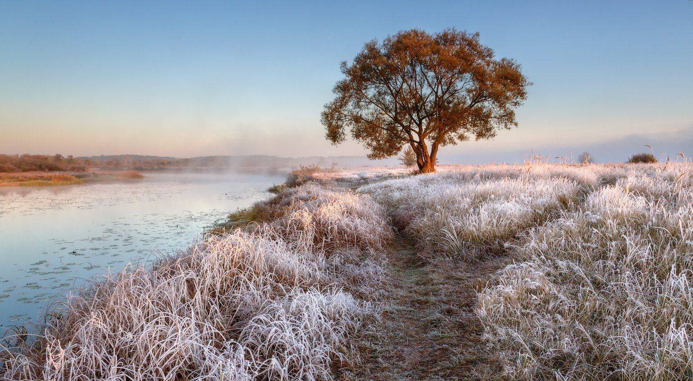 , Михаил Кушнер