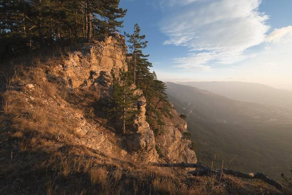 , Саша  Вайсберг / Waldschnepfe /