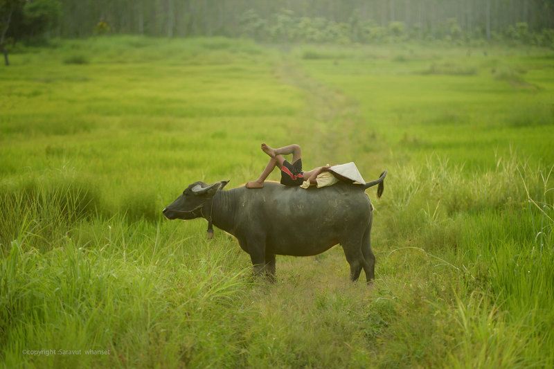 Happy time фото превью