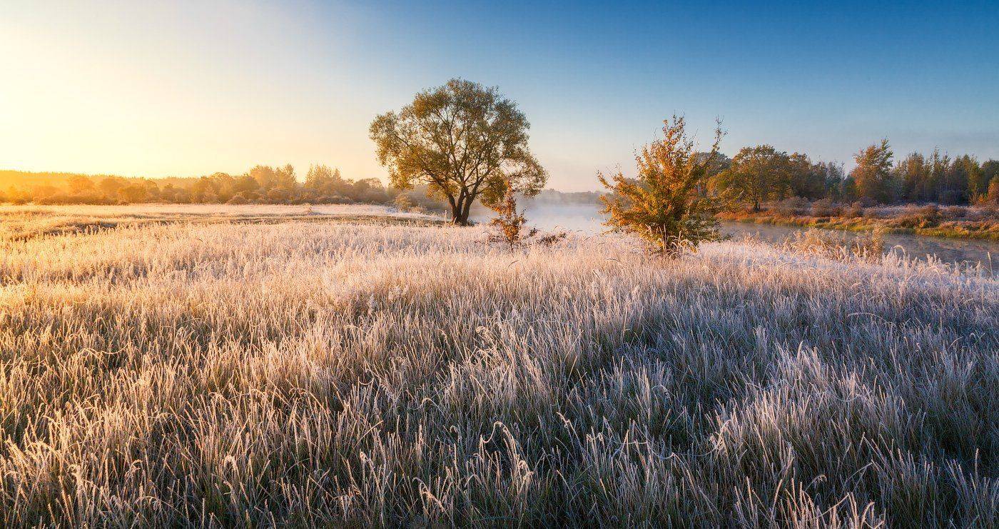 , Михаил Кушнер