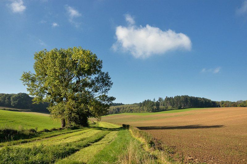 Сентябрь фото превью