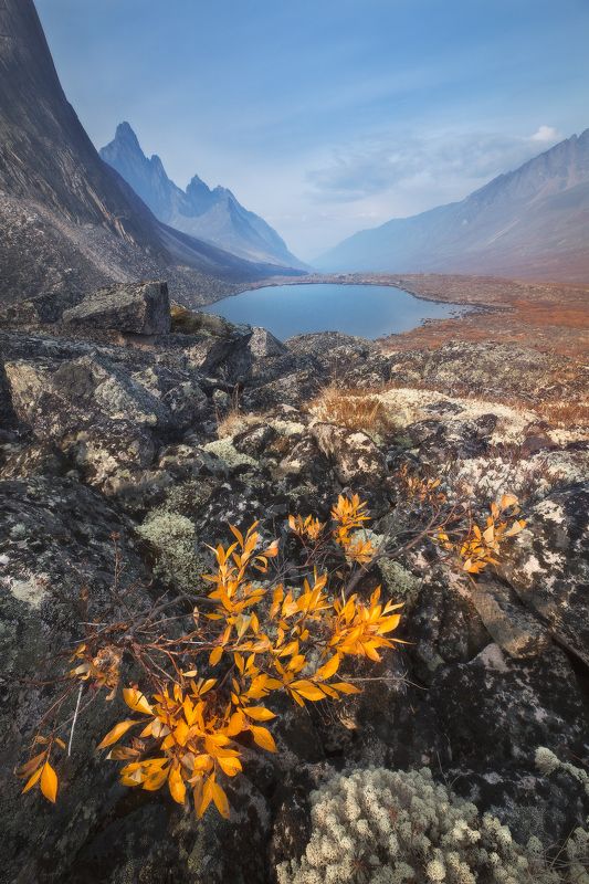 yukon, canada Северный букет фото превью