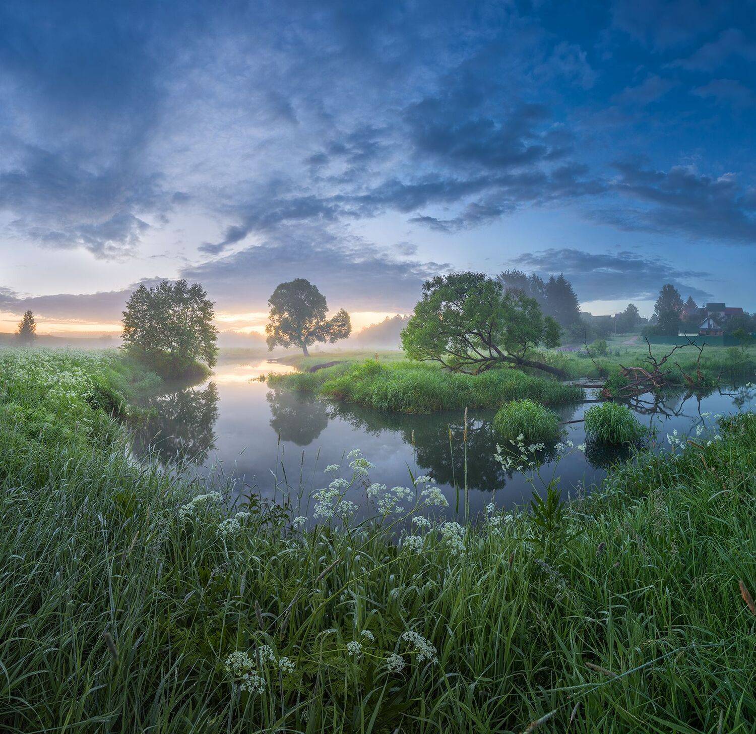, Николай Андреев
