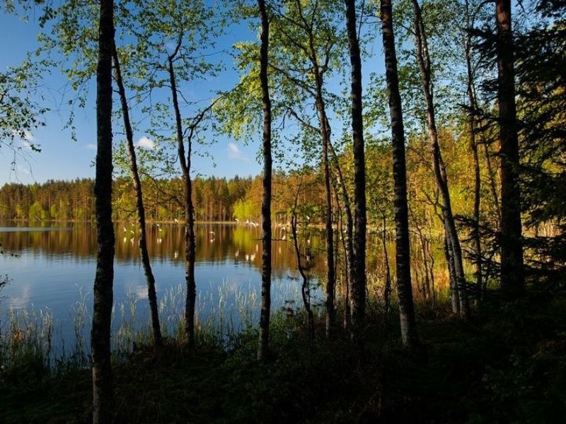 Утро на волшебном озере фото превью