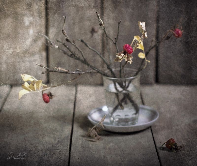 /// фото превью