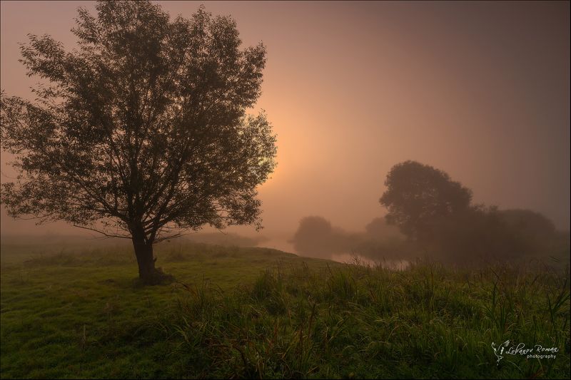 * * * фото превью