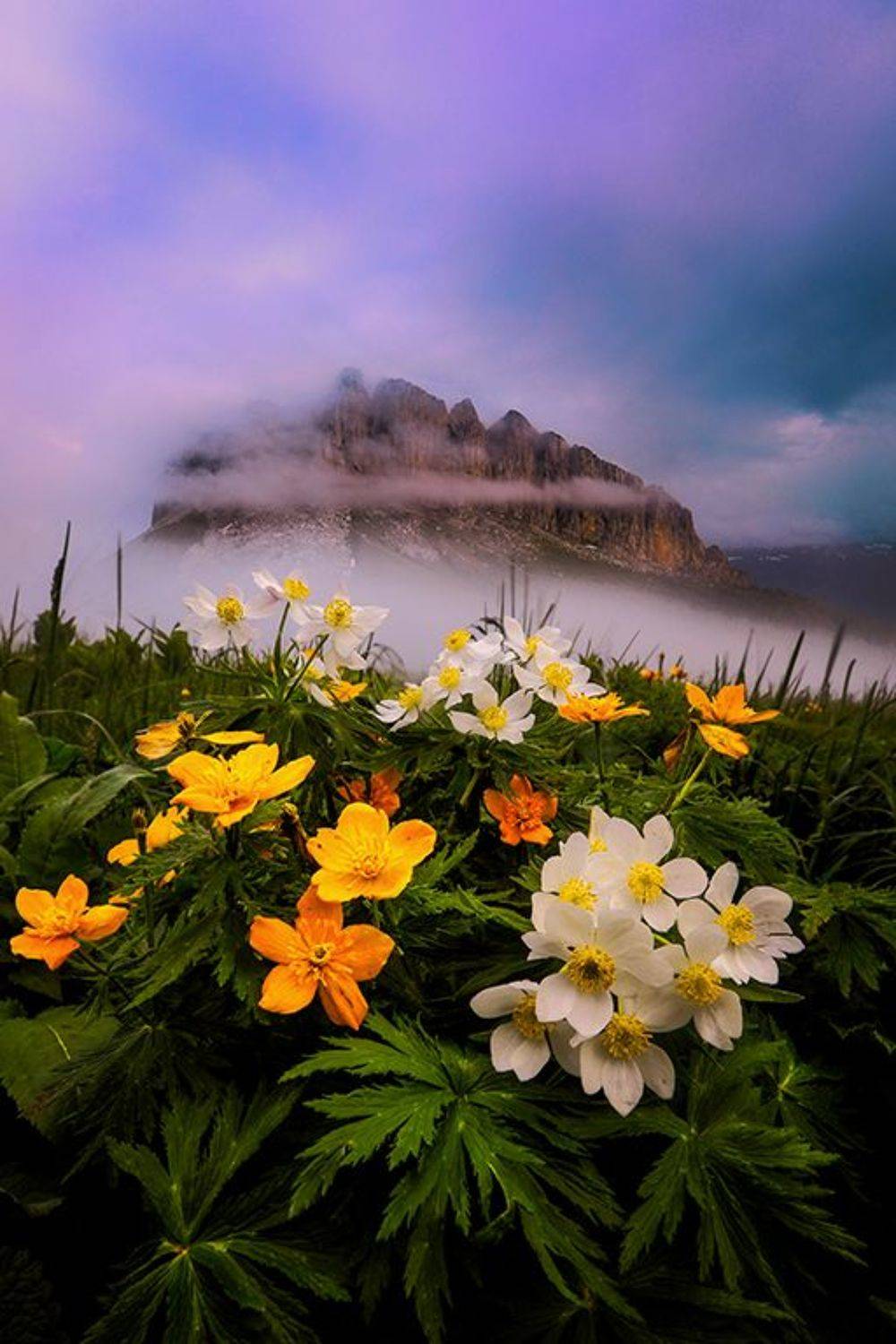 , Андрей Ершов