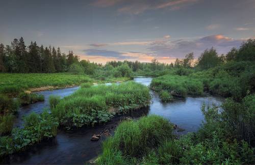 У истока реки