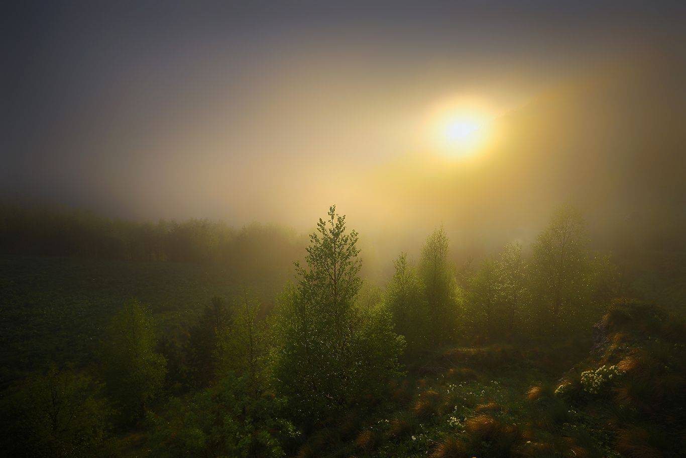 , Андрей Ершов