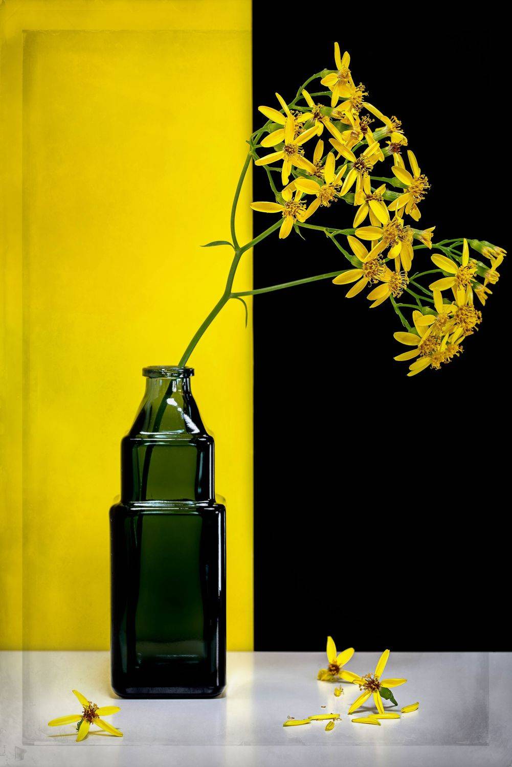 Натюрморт цветы арт-фото бутылка, Вадим Кулинский