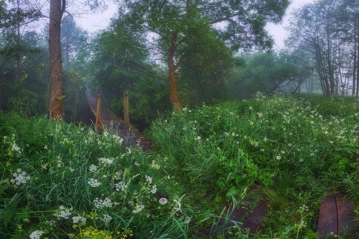 , Konstantin Voronov