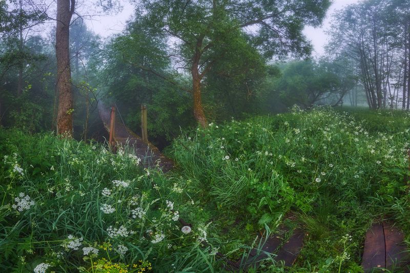 Старый мостик фото превью