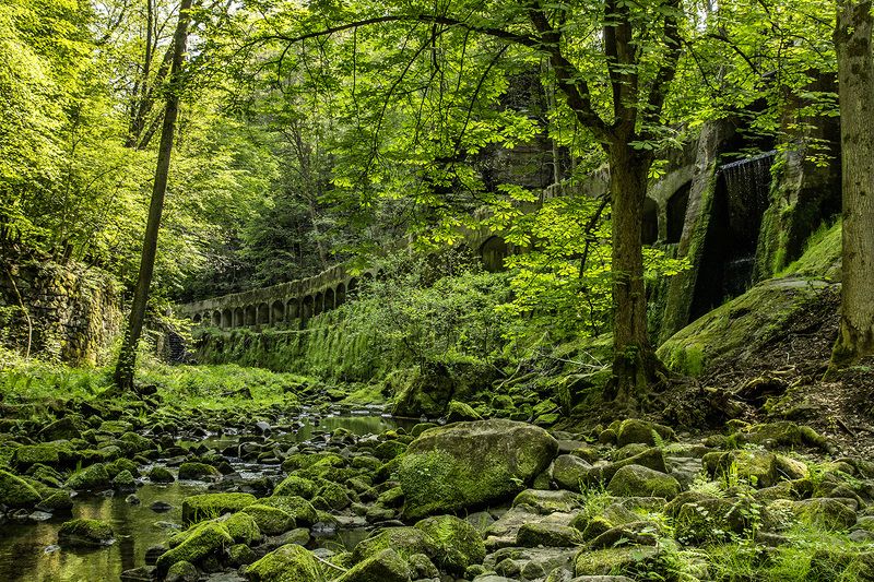 Sächsische Schweiz фото превью