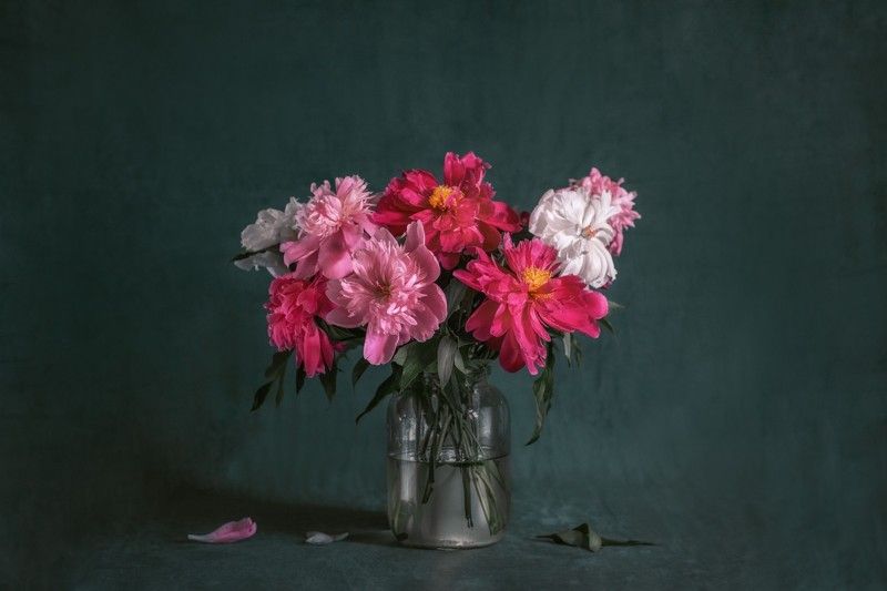 ... фото превью