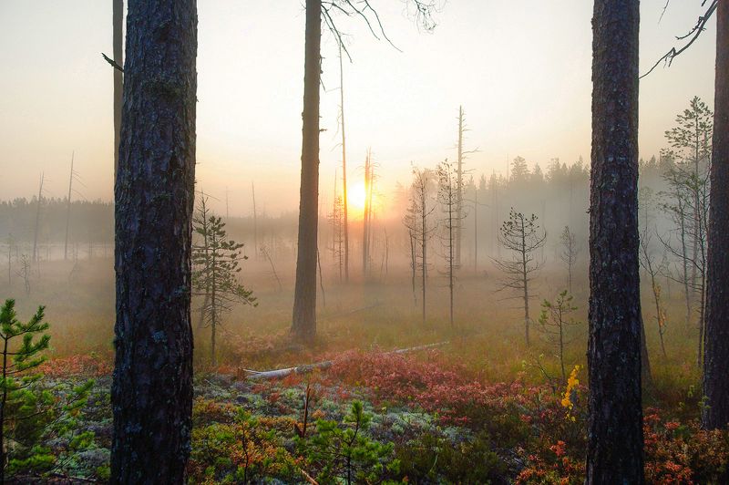 карелия *** фото превью