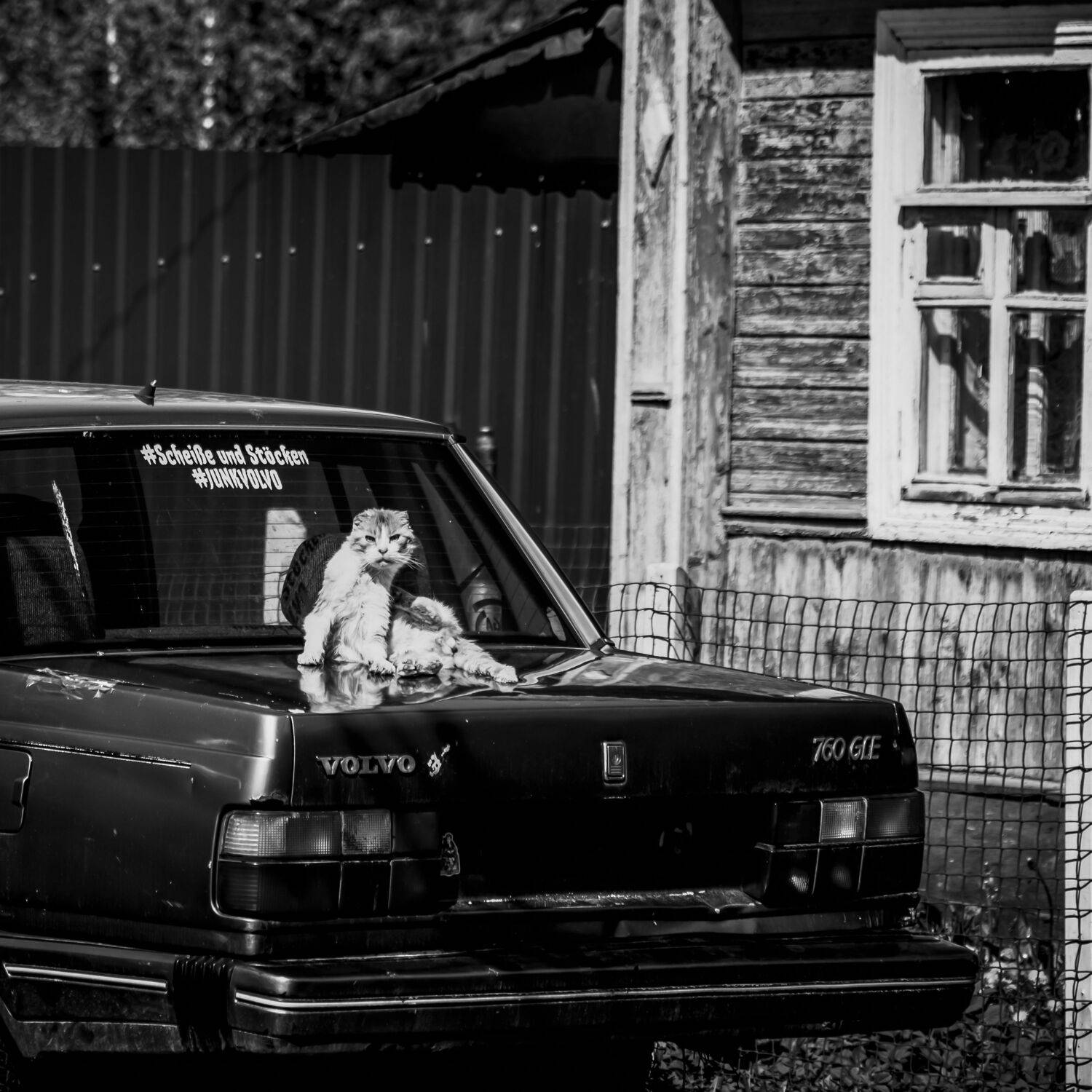 , Alexander Shilov