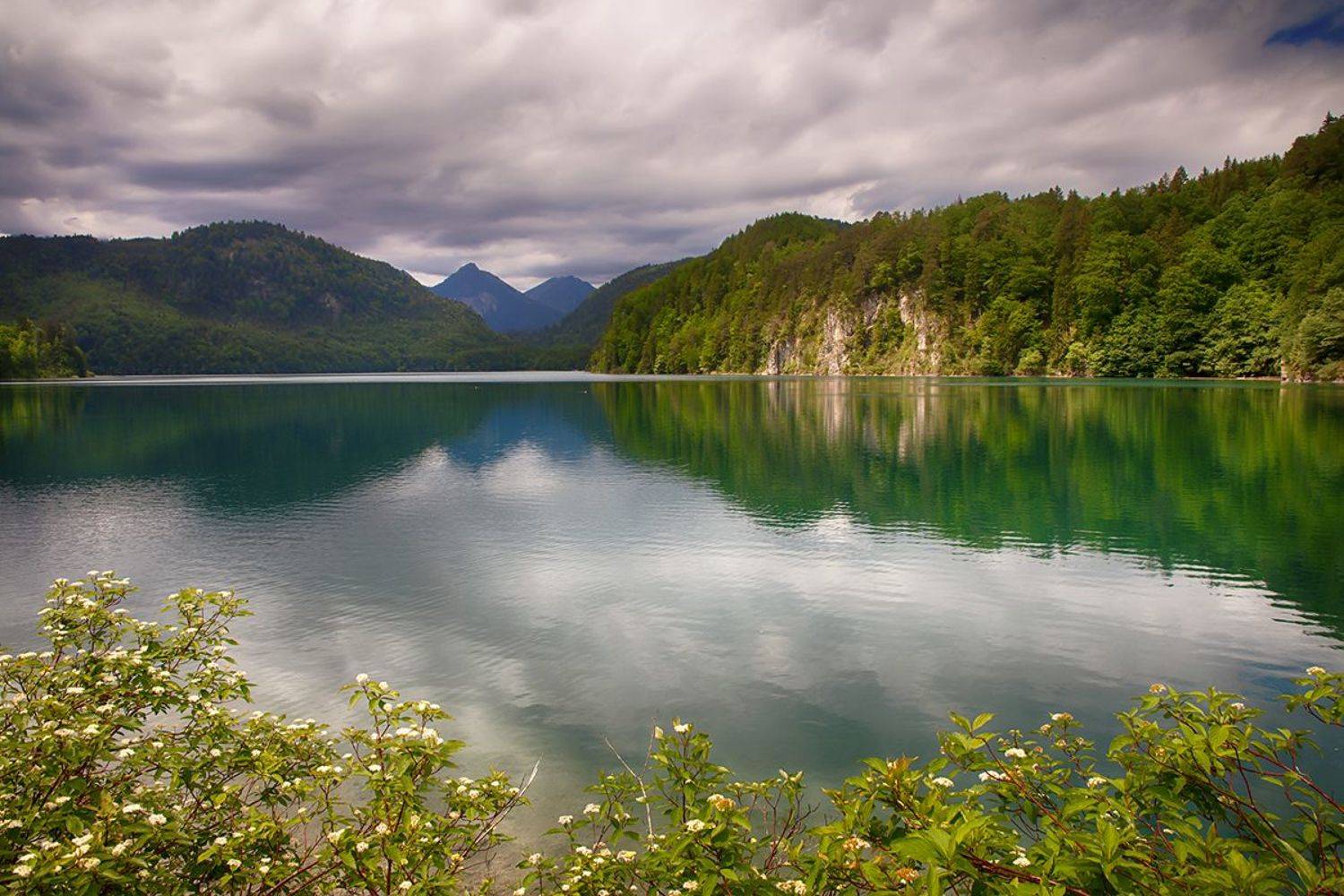 , Игорь Дубровский