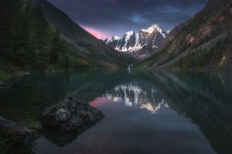 Шавлинская карточка фото превью