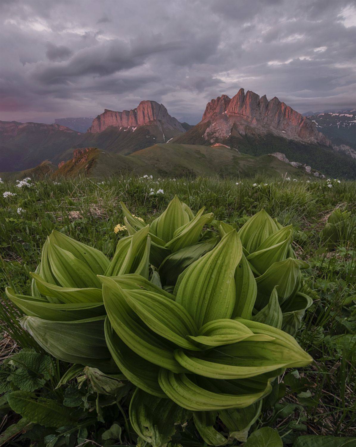 западный кавказ, ачешбок, чёртовы ворота, лето , рассвет, Мысливцев Николай