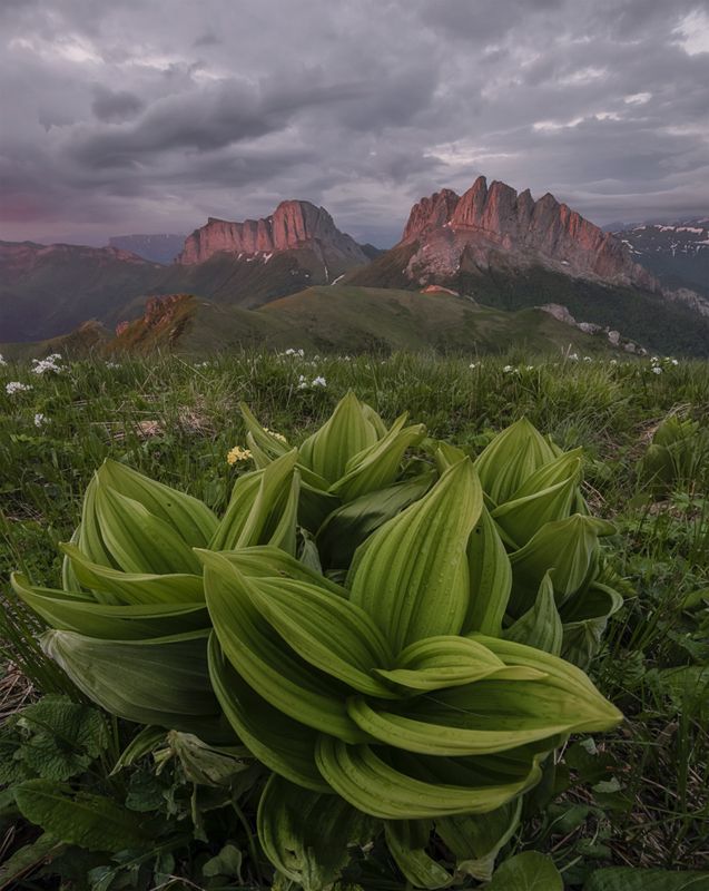 западный кавказ, ачешбок, чёртовы ворота, лето , рассвет Ачешбок фото превью
