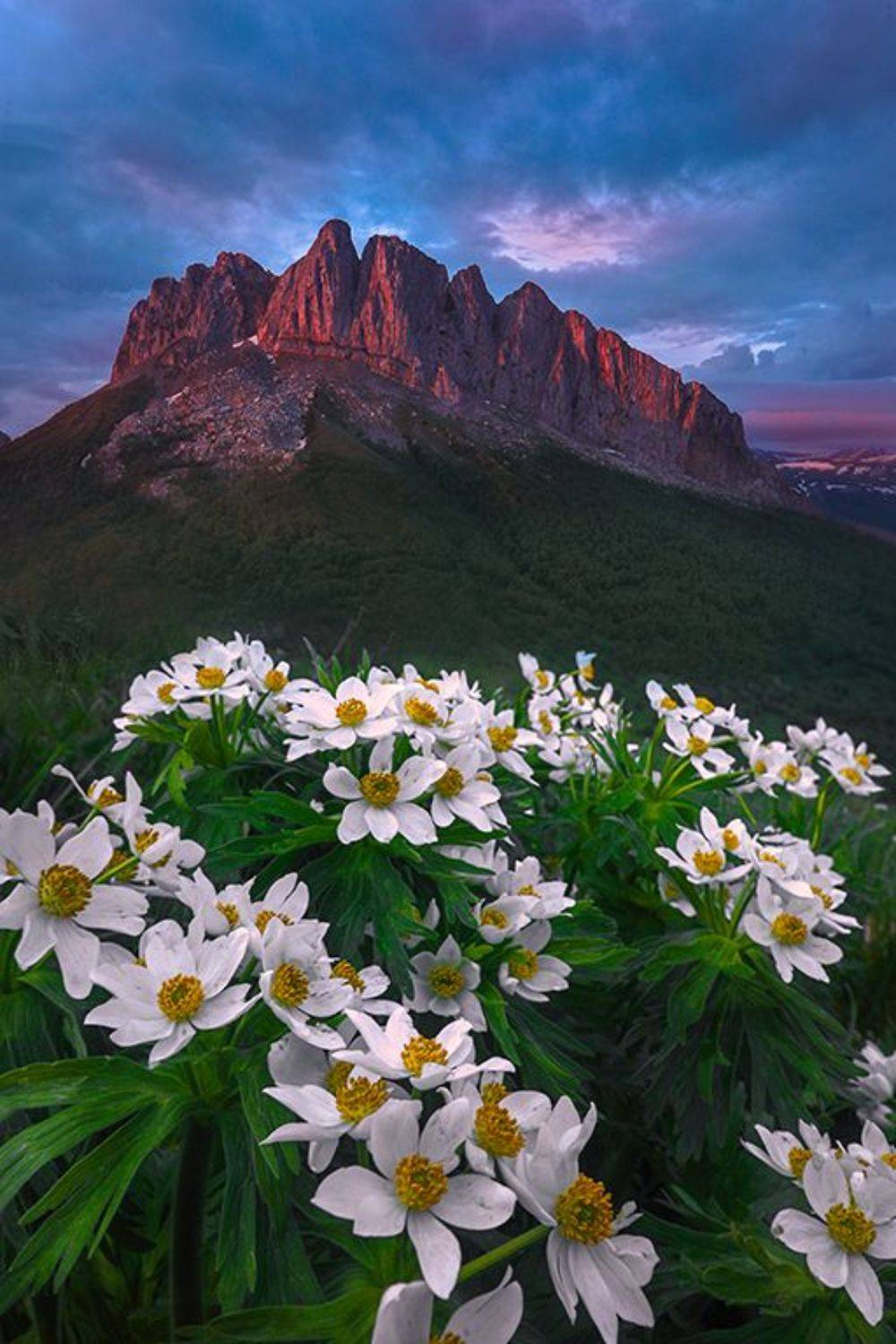 , Андрей Ершов