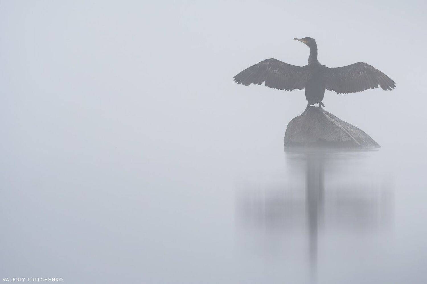 , Валерий Притченко