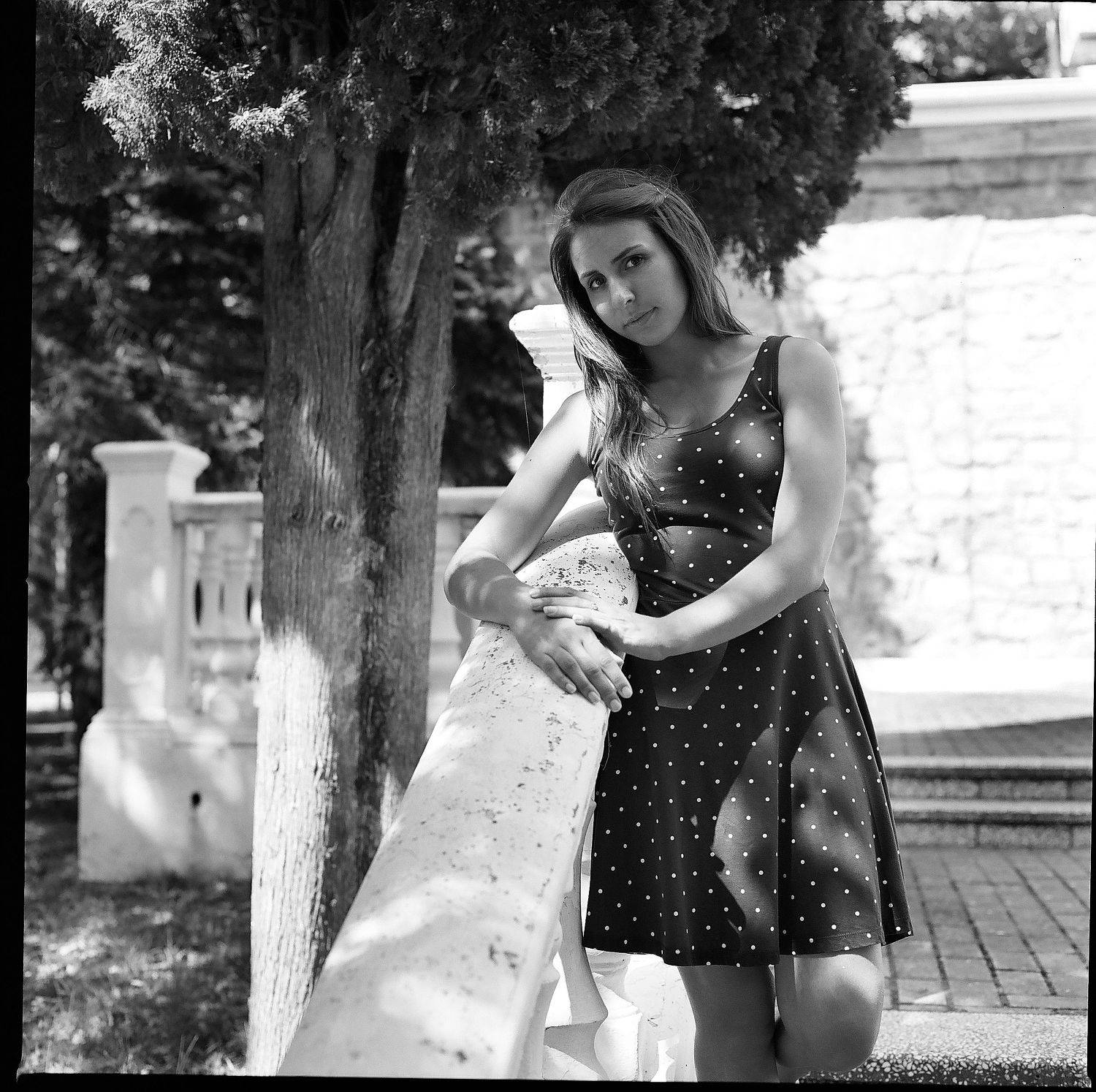 hasselblad, 2000fcw, planar, 80mm, пленка, аналог, средний, формат, 120мм, Мистер Тигрилло