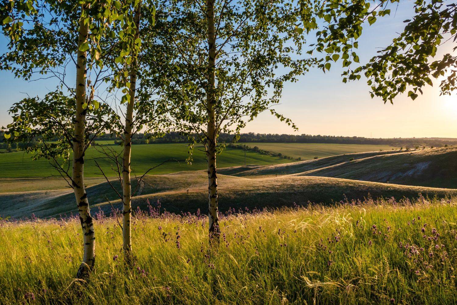 , Борисенко Денис