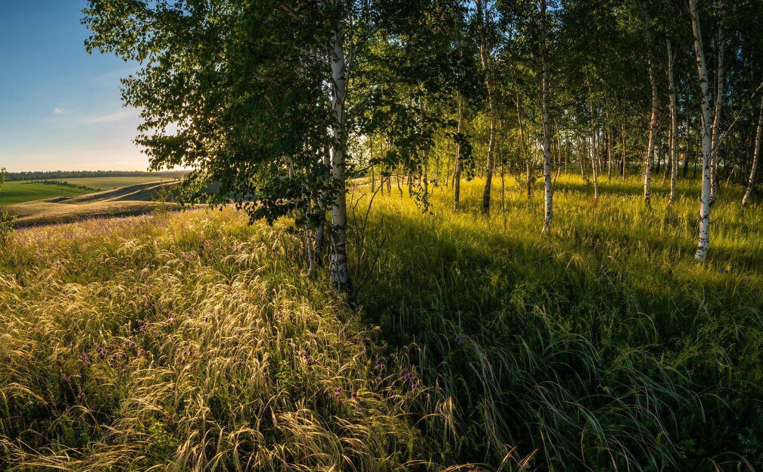 , Борисенко Денис