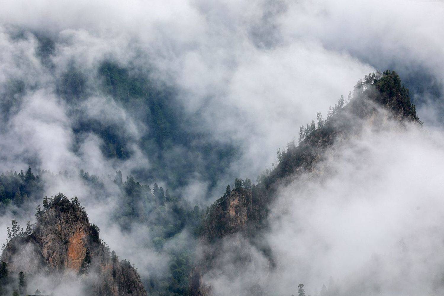 , Андрей Ершов