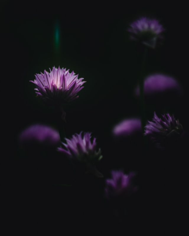 Сияние фото превью