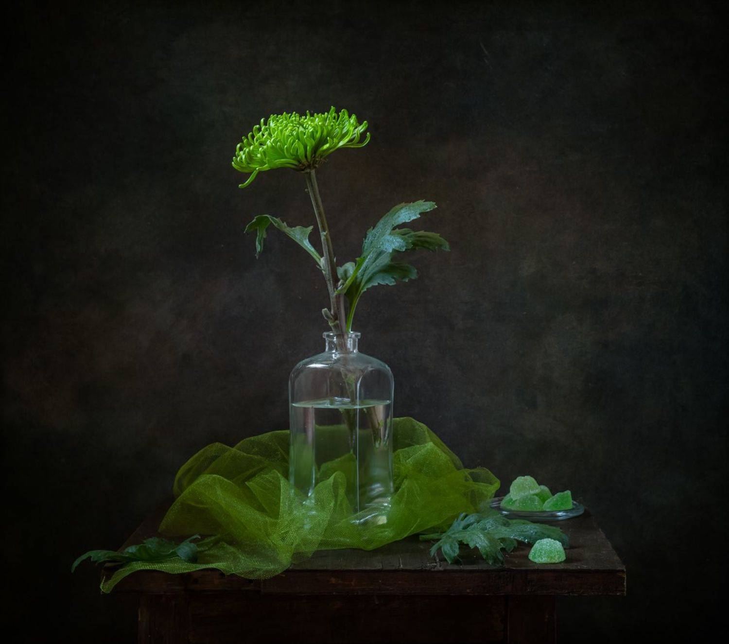 натюрморт, цветы, хризантема, Оля