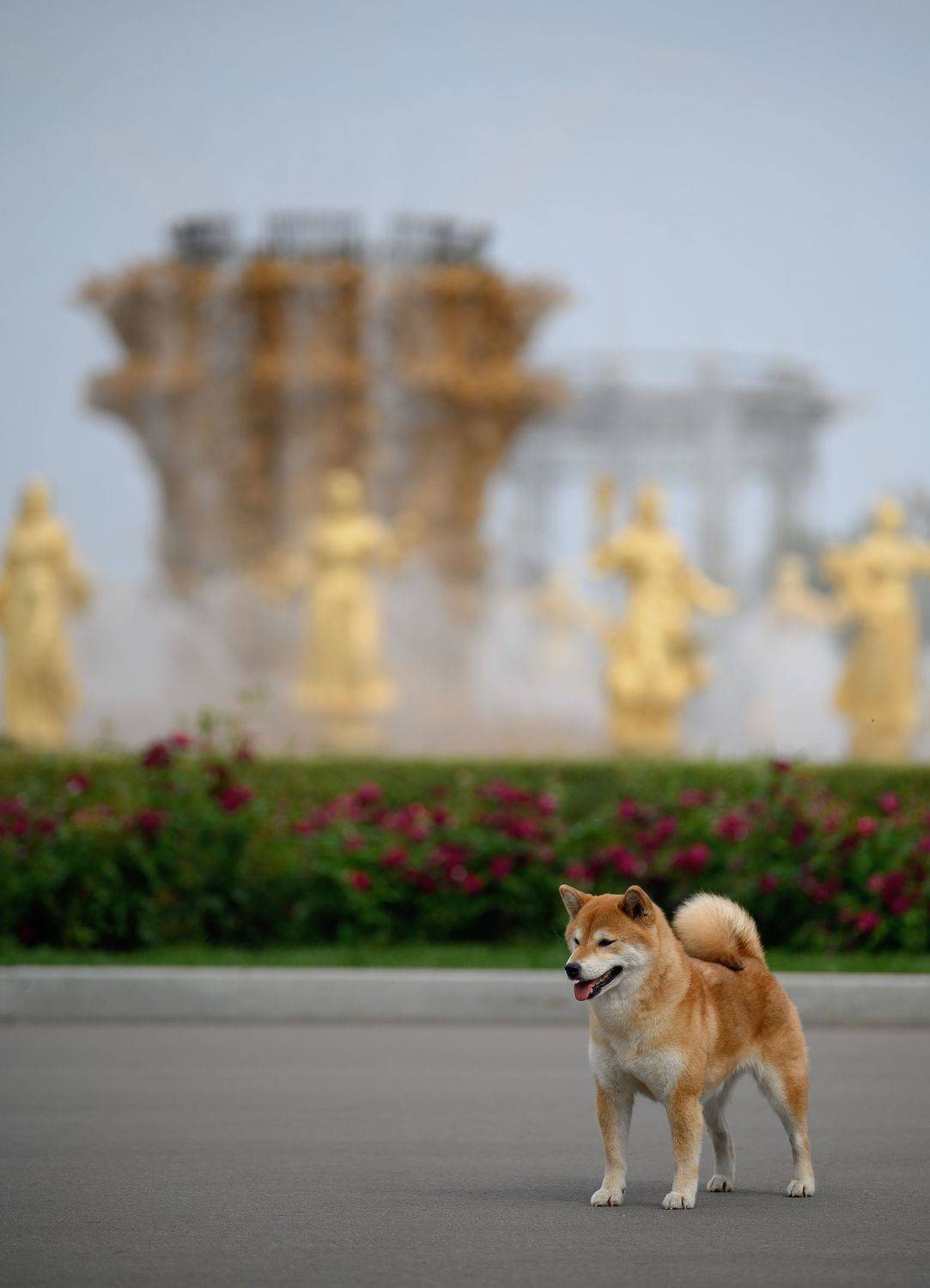 , Коптилина Галина