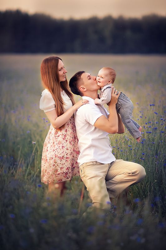 васильки фото превью