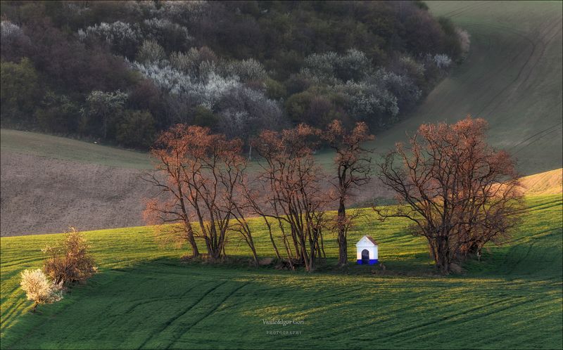 южная моравия,пейзаж,hils,часовенка,св.варварa,линии,chapel,south moravian,lines,свет,czech,весна,чехия,landscapes. Весенняя капличка фото превью
