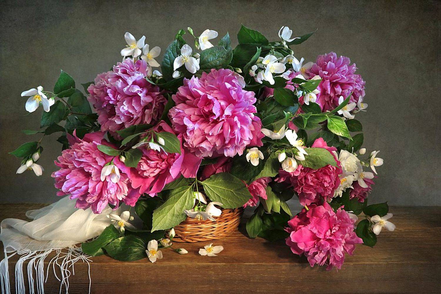 натюрморт,корзина,шарф,пионы,жасмин, Алла Шевченко
