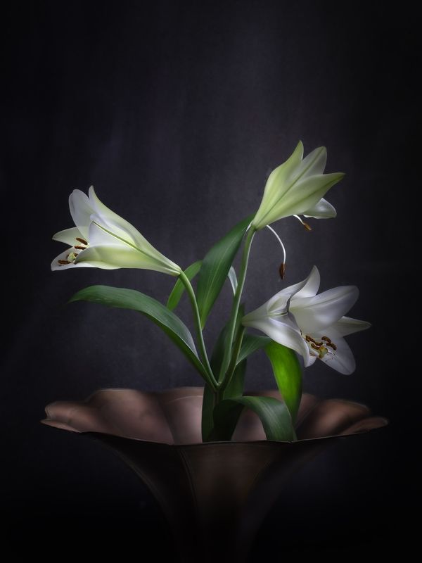 Натюрморт цветы лилии медная труба световая кисть Три лилии фото превью