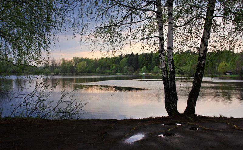 весна, вода по подмосковью... фото превью