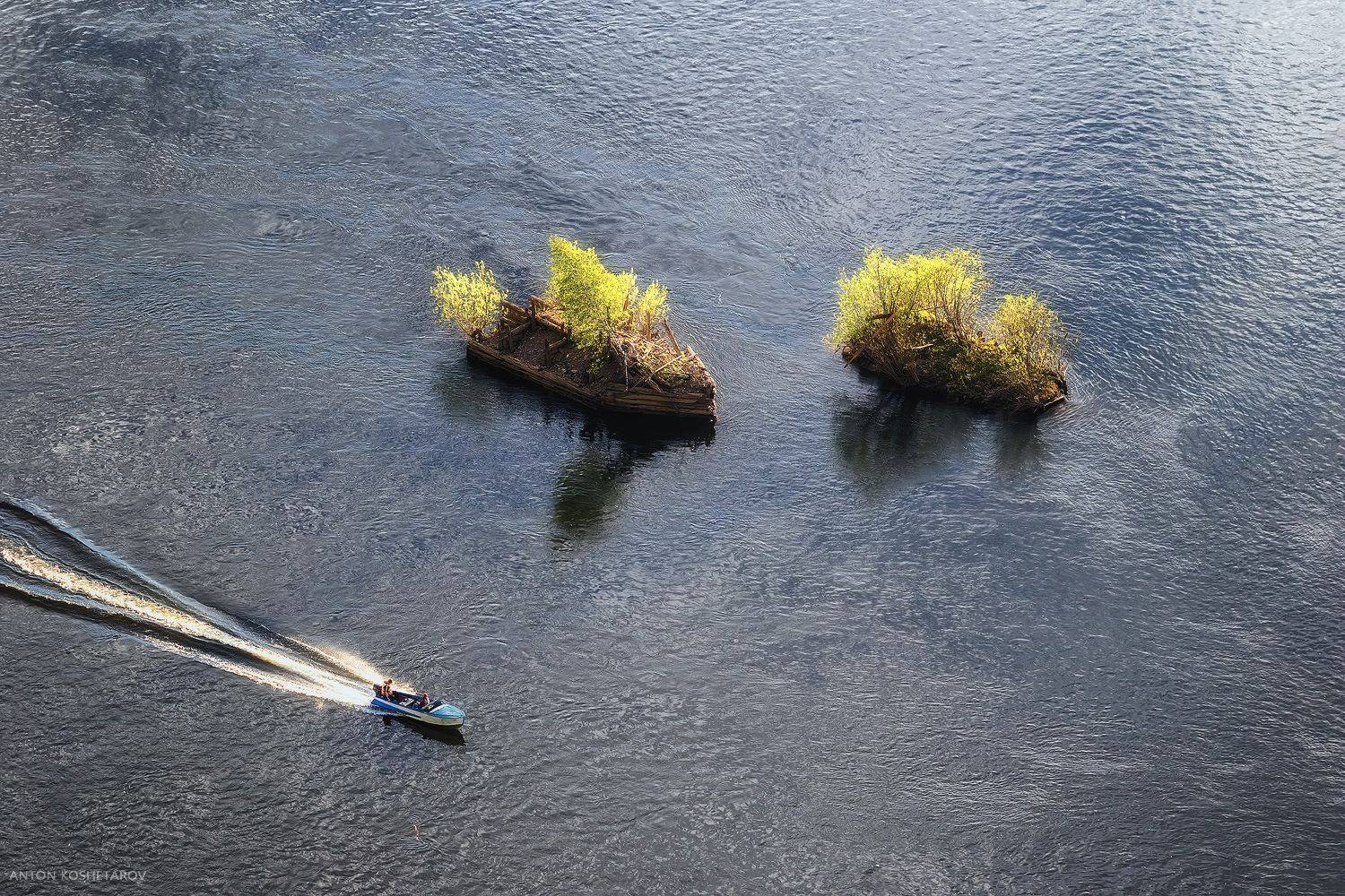 , Антон Кошетаров