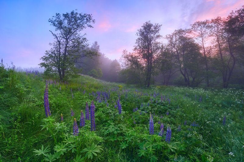 Утро раннее фото превью