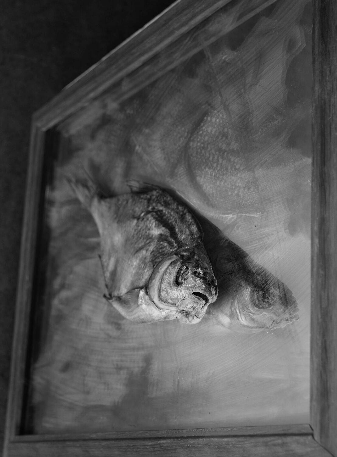 , Геннадий Чеботарев