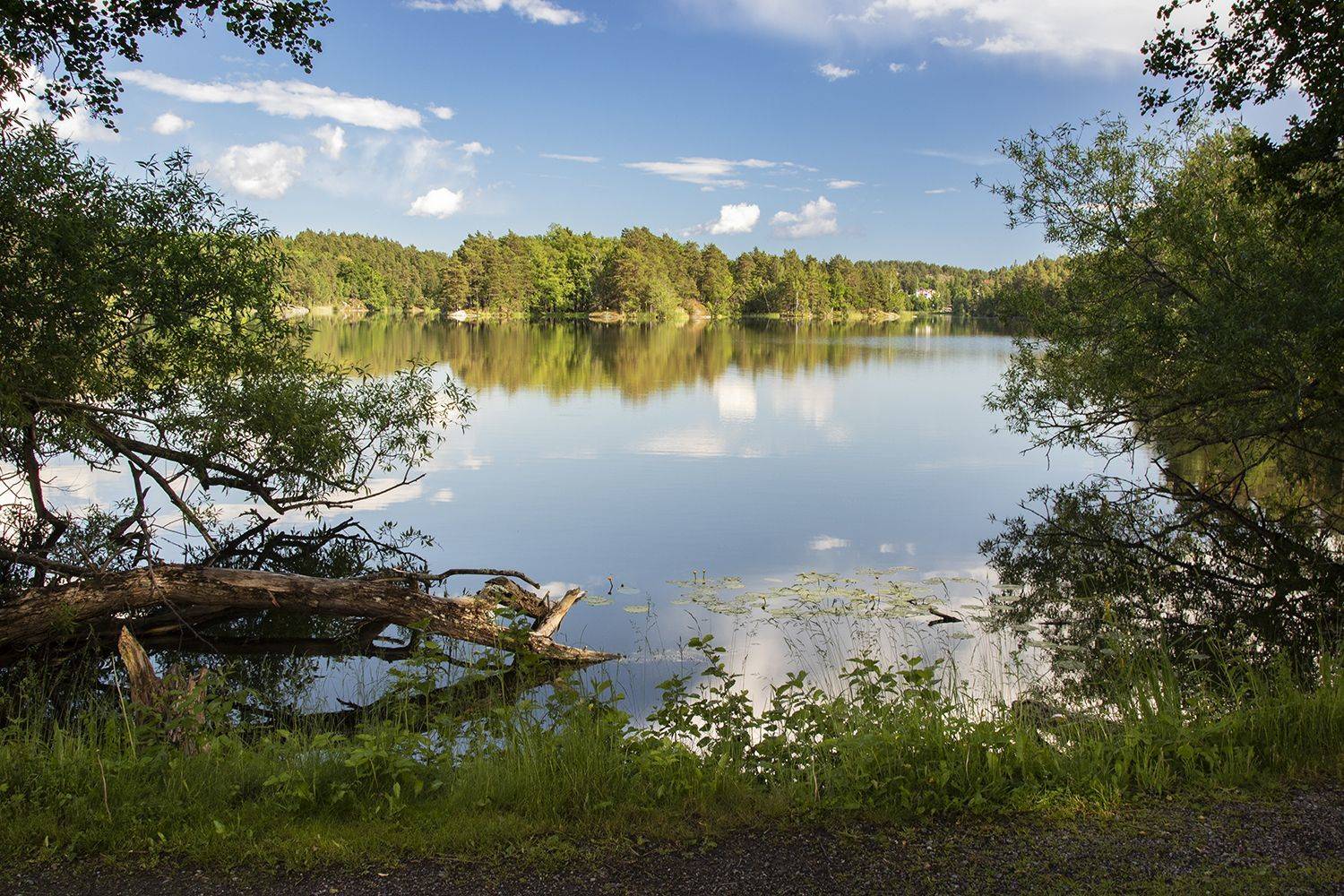 швеция,  Lapland