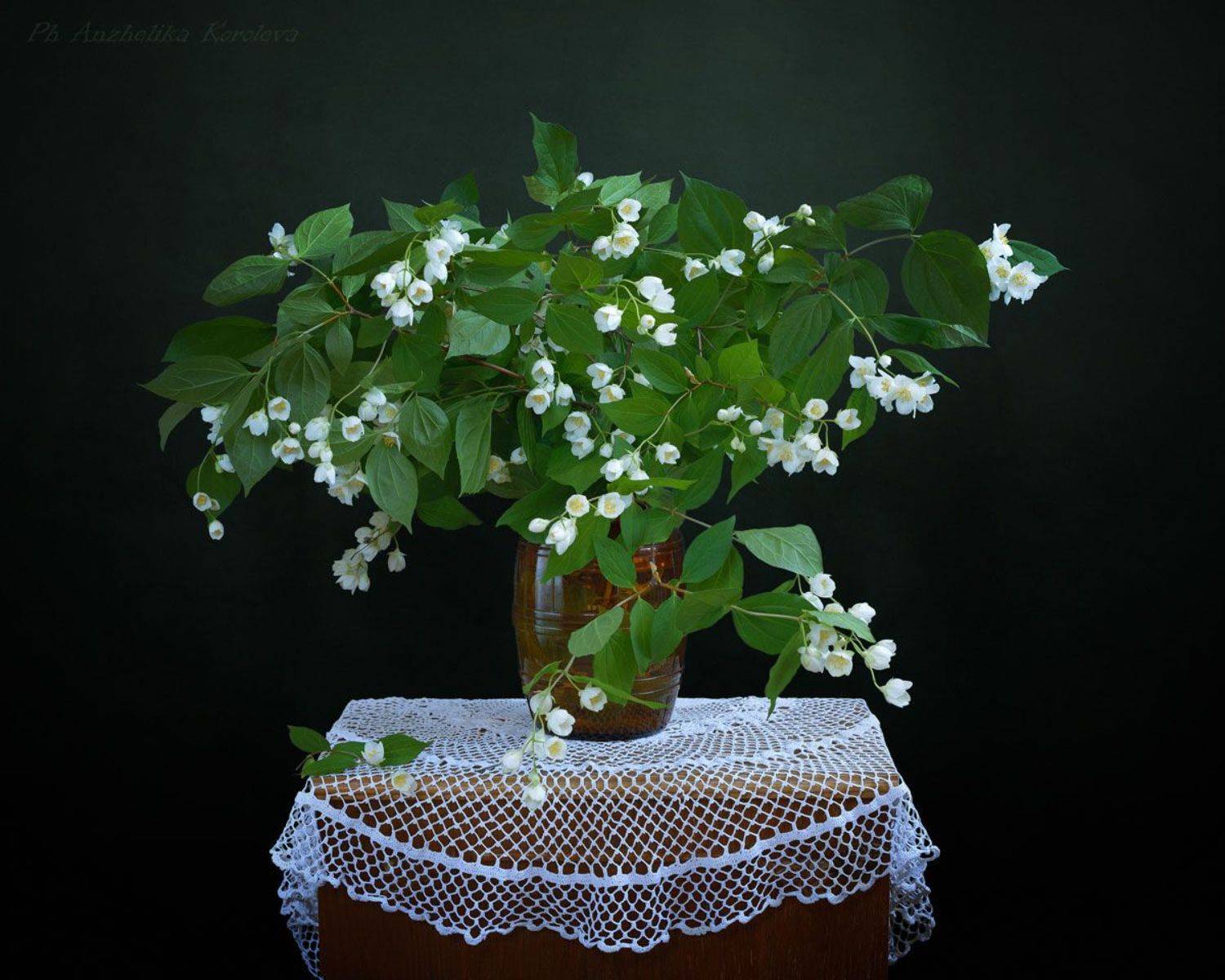 , Анжелика Королева